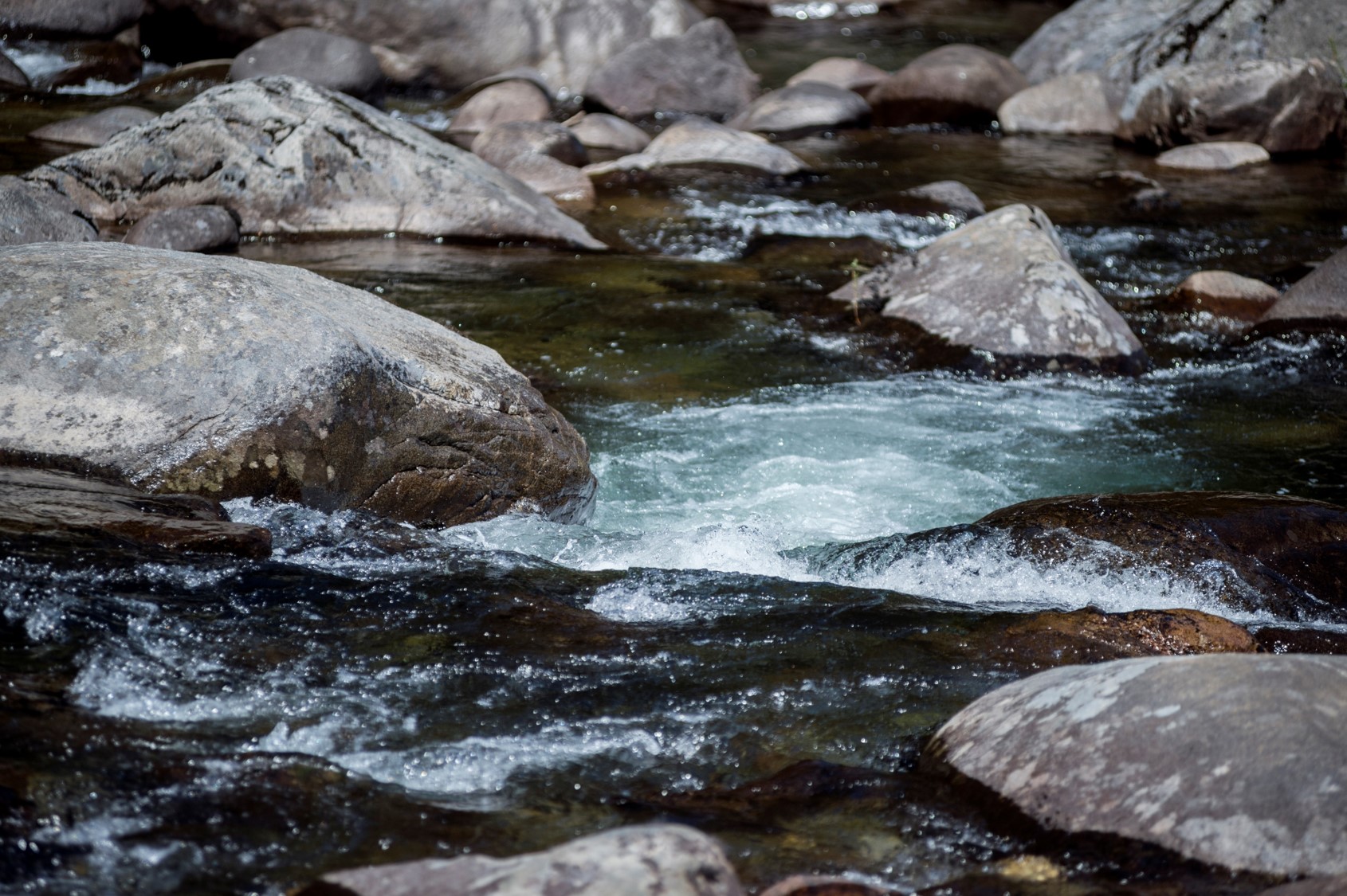 養(yǎng)殖場(chǎng)11